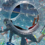 Amenities de Morsas Escuela de Natación