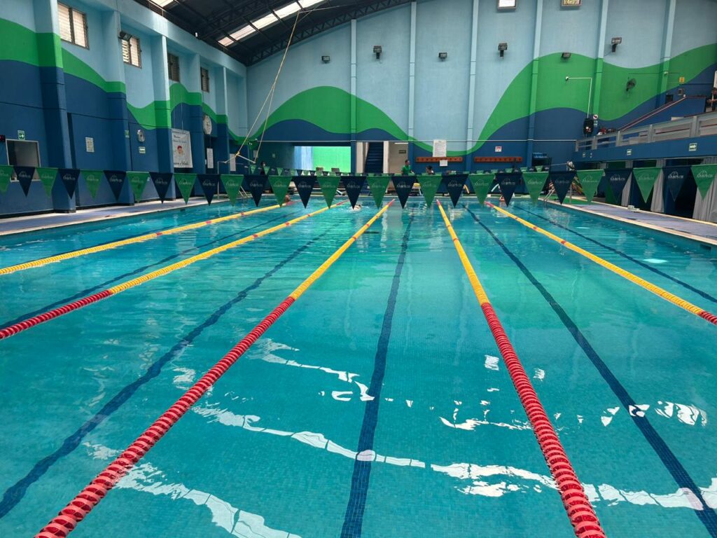 Vista general de la alberca